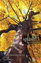 Book cover of Splash 13 by Rachel Rubin Wolf