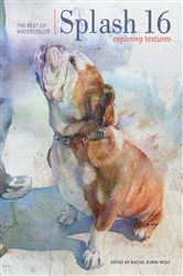 Book cover of Splash 16 by Rachel Rubin Wolf