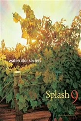 Book cover of Splash 9 by Rachel Rubin Wolf