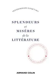 Book cover of Splendeurs et misères de la littérature by Olivier Bessard-Banquy