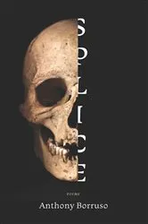 Book cover of Splice by Anthony Borruso