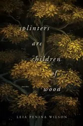 Book cover of Splinters Are Children of Wood by Leia Penina Wilson