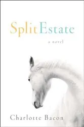 Book cover of Split Estate by Unknown