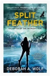 Book cover of Split Feather by Deborah A. Wolf