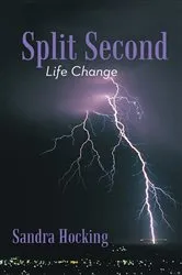 Book cover of Split Second by Alex Kava