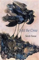 Book cover of Split the Crow by Sarah Sousa
