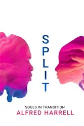 Book cover of Split by Lee Kofman