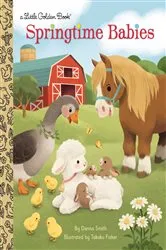 Book cover of Springtime Babies by Danna Smith