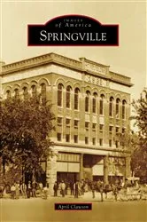 Book cover of Springville by Unknown