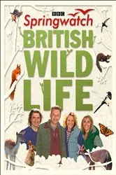 Book cover of Springwatch British Wildlife by Unknown