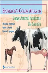 Book cover of Spurgeon's Color Atlas of Large Animal Anatomy by Thomas O. McCracken
