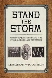 Book cover of Stand the Storm by Lynn Abbott