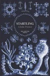 Book cover of Startling by Linda France