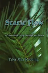 Book cover of Static Flow by Tyler Max Redding