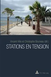 Book cover of Stations en tension by Vincent Vlès