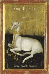 Book cover of Stay, Illusion! by Simon Critchley
