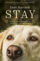 Book cover of Stay by Unknown