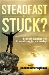 Book cover of Steadfast Or Stuck? by Damian Smeragliuolo