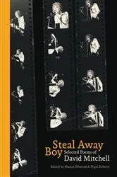 Book cover of Steal Away Boy by Martin Edmond