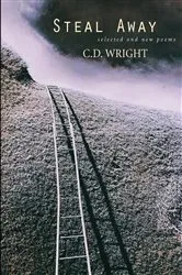 Book cover of Steal Away by C.D. Wright