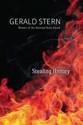 Book cover of Stealing History by Colleen Margaret Clarke