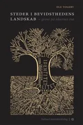 Book cover of Steder i bevidsthedens landskab by Ole Togeby