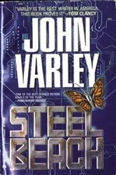 Book cover of Steel Beach by Unknown