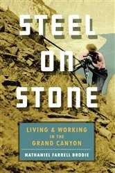 Book cover of Steel on Stone by Nathaniel Farrell Brodie