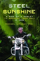 Book cover of STEEL SUNSHINE by Michael L Orr
