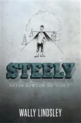 Book cover of Steely by Unknown