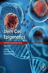 Book cover of Stem Cell Epigenetics by Eran Meshorer