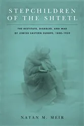 Book cover of Stepchildren of the Shtetl by Natan M. Meir
