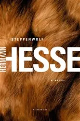 Book cover of Steppenwolf by Hermann Hesse