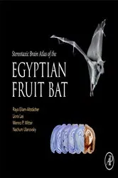 Book cover of Stereotaxic Brain Atlas of the Egyptian Fruit Bat by Unknown
