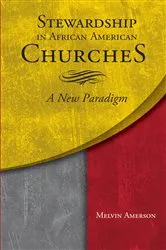 Book cover of Stewardship in African-American Churches by Melvin Amerson