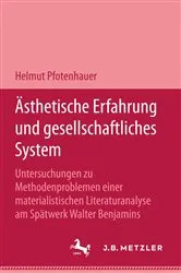 Book cover of Ästhetische Erfahrung und gesellschaftliches System by Helmut Pfotenhauer