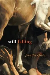 Book cover of Still Falling by Jennifer Grotz