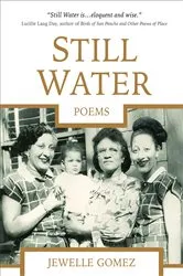 Book cover of Still Water by Rebecca Pert