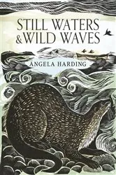 Book cover of Still Waters & Wild Waves by Angela Harding