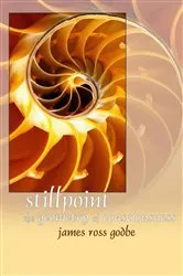Book cover of Stillpoint by Barrett Martin