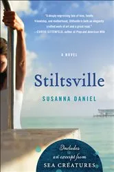 Book cover of Stiltsville by Susanna Daniel