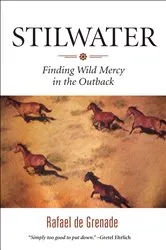 Book cover of Stilwater by Rafael de Grenade