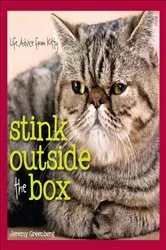 Book cover of Stink Outside the Box by Jeremy Greenberg