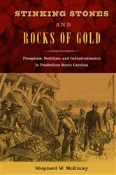 Book cover of Stinking Stones and Rocks of Gold by Shepherd W. McKinley