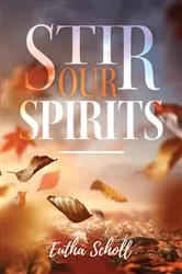 Book cover of Stir Our Spirits by Eutha Scholl