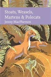 Book cover of Stoats, Weasels, Martens and Polecats by Unknown