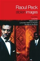 Book cover of Stolen Images by Raoul Peck