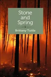 Book cover of Stone and Spring by Unknown