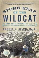 Book cover of Stone Heap of the Wildcat by Dennis L. Siluk Ed.D.