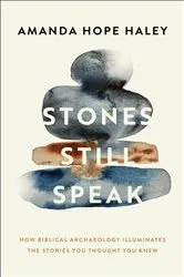 Book cover of Stones Still Speak by Amanda Hope Haley